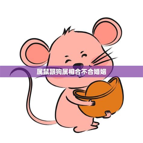 鼠跟狗合嗎|属狗和属鼠的合不合——性格、感情和友情的完美契合…